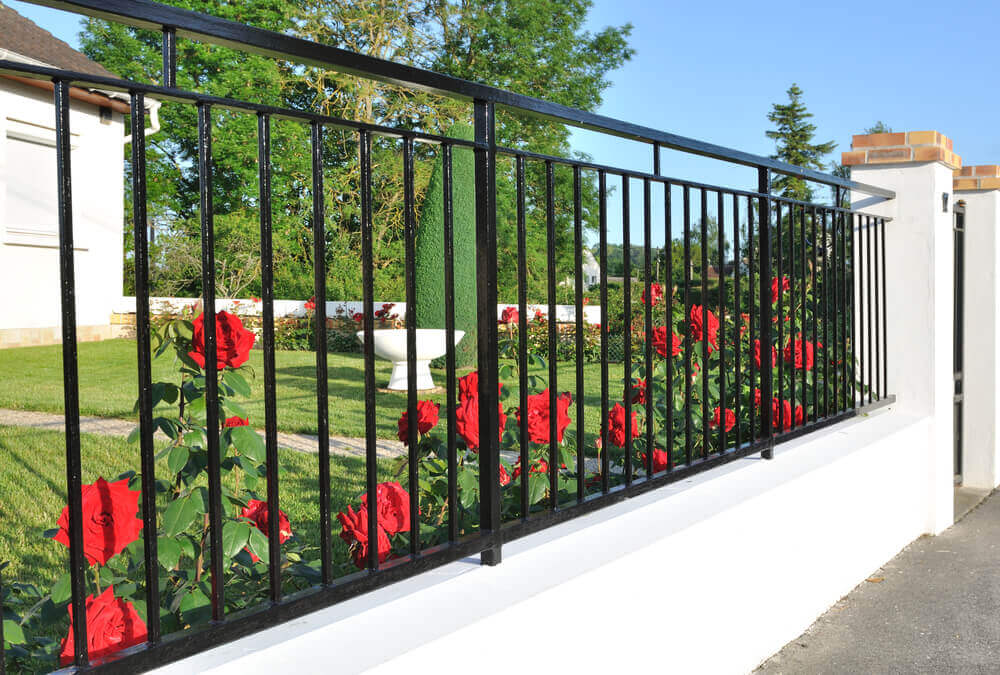 a black steel fencing panels with some nice red roses coming through the bar gaps